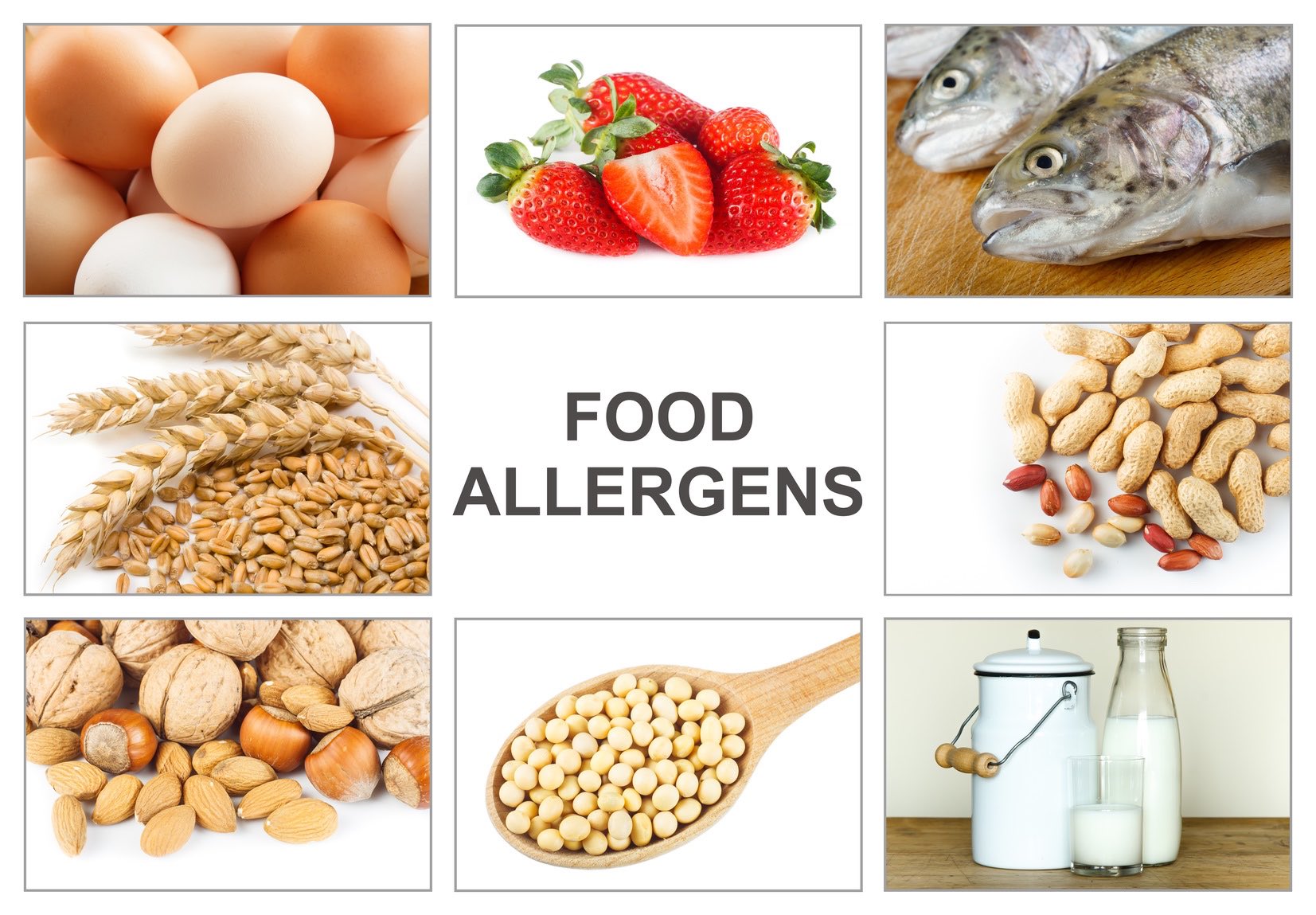 Etichette alimentari: Gli allergeni in etichetta, cosa dice L’allegato II del Reg. 1169/11